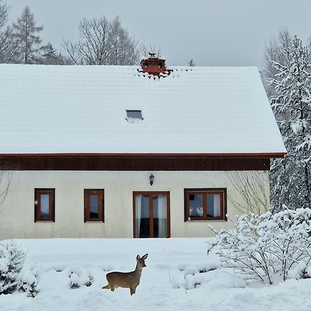 Villa Dom Na Pstraznicy Kudowa-Zdrój Exterior foto