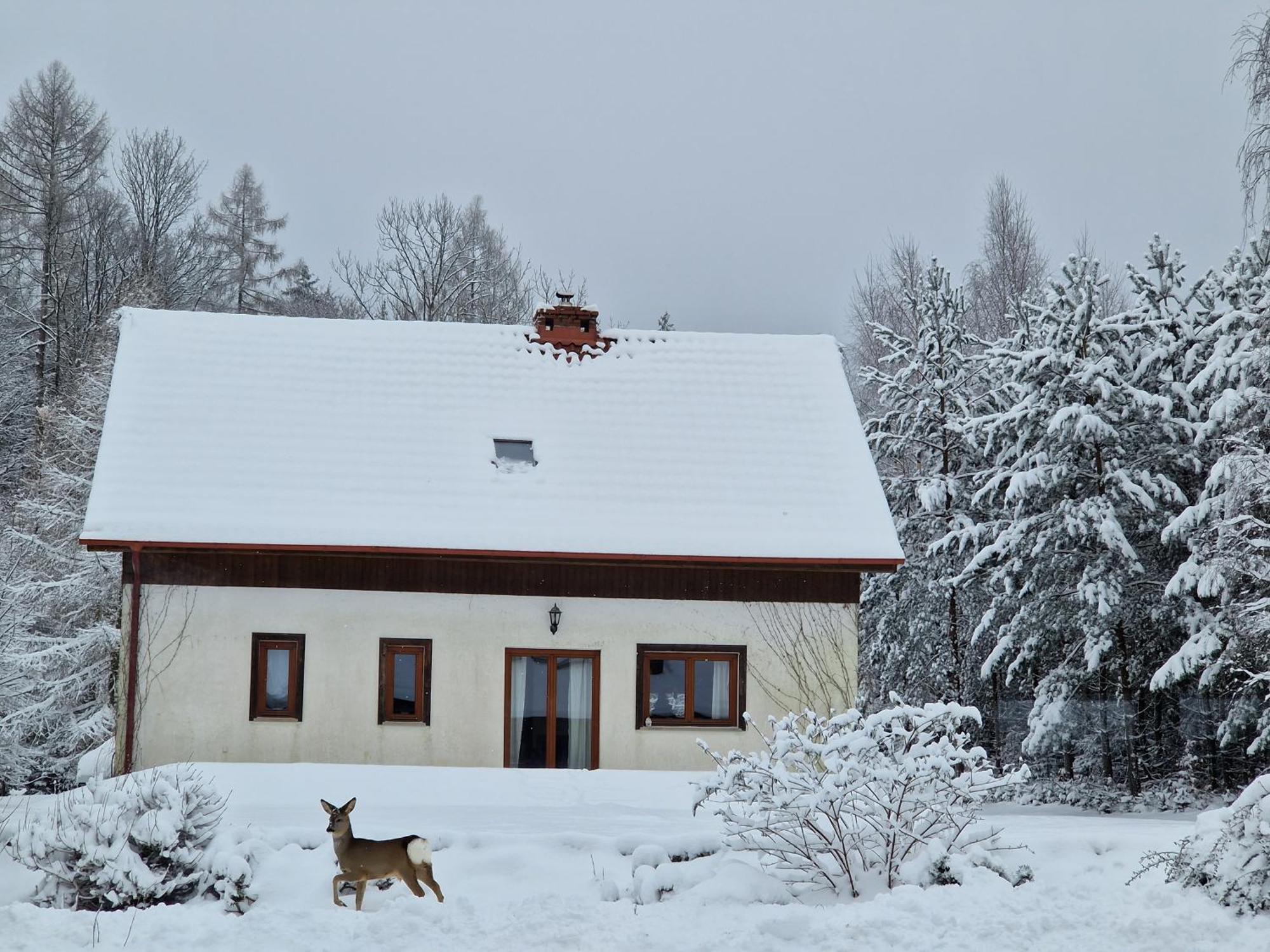 Villa Dom Na Pstraznicy Kudowa-Zdrój Exterior foto