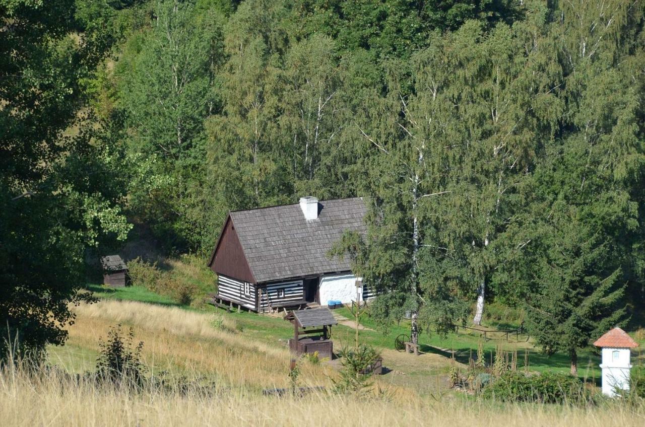 Villa Dom Na Pstraznicy Kudowa-Zdrój Exterior foto