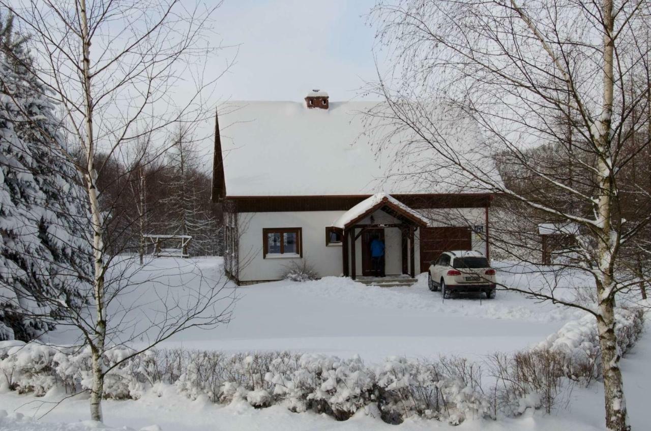 Villa Dom Na Pstraznicy Kudowa-Zdrój Exterior foto