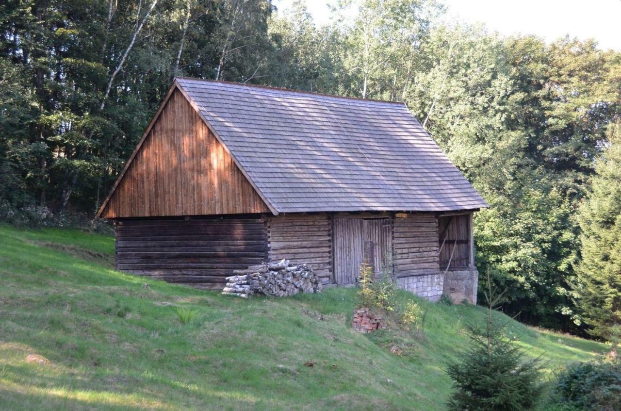 Villa Dom Na Pstraznicy Kudowa-Zdrój Exterior foto