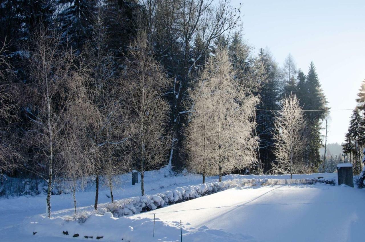 Villa Dom Na Pstraznicy Kudowa-Zdrój Exterior foto