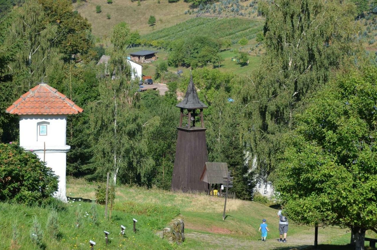 Villa Dom Na Pstraznicy Kudowa-Zdrój Exterior foto