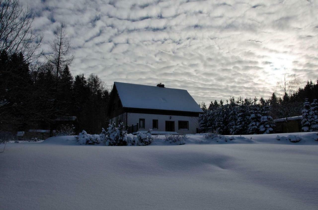 Villa Dom Na Pstraznicy Kudowa-Zdrój Exterior foto