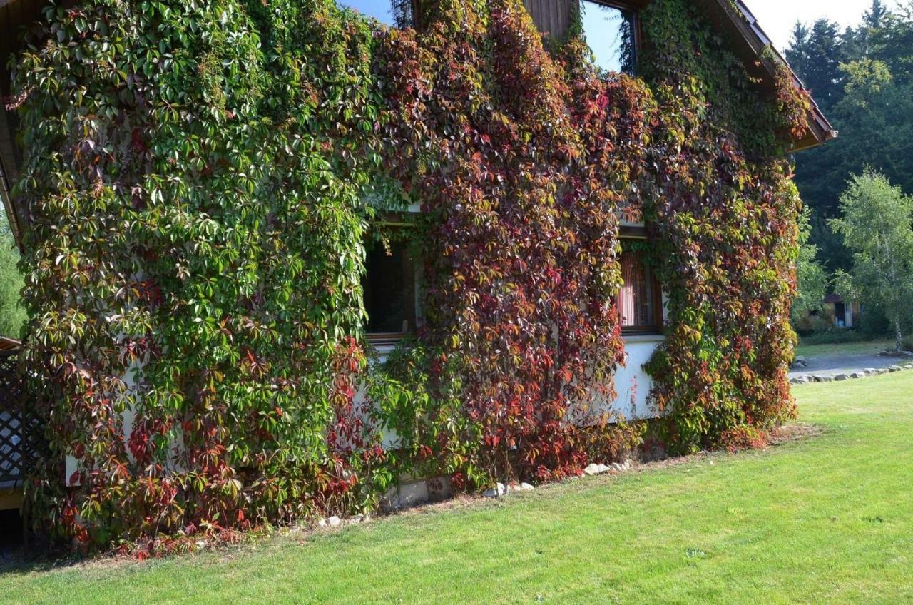 Villa Dom Na Pstraznicy Kudowa-Zdrój Exterior foto