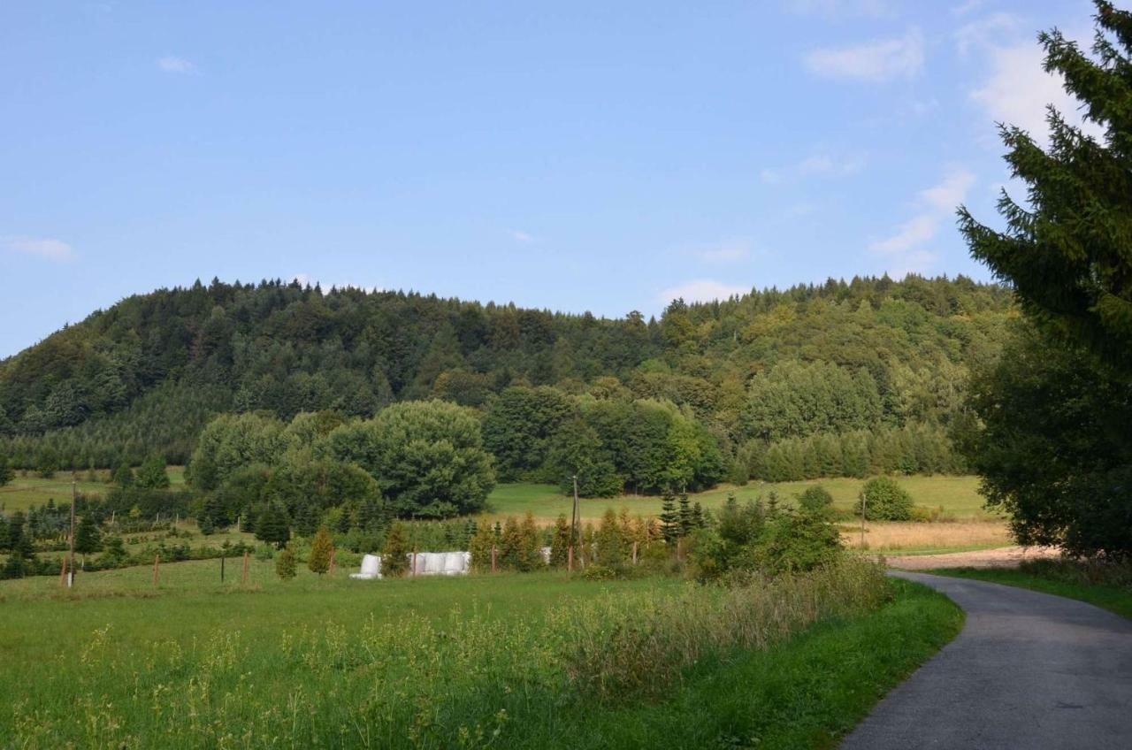 Villa Dom Na Pstraznicy Kudowa-Zdrój Exterior foto