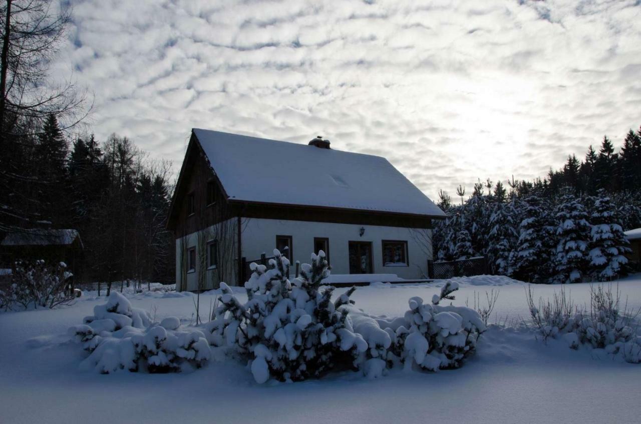Villa Dom Na Pstraznicy Kudowa-Zdrój Exterior foto